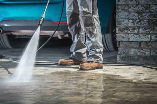 Best Driveway Pressure Washing  in Knoxvle, IL