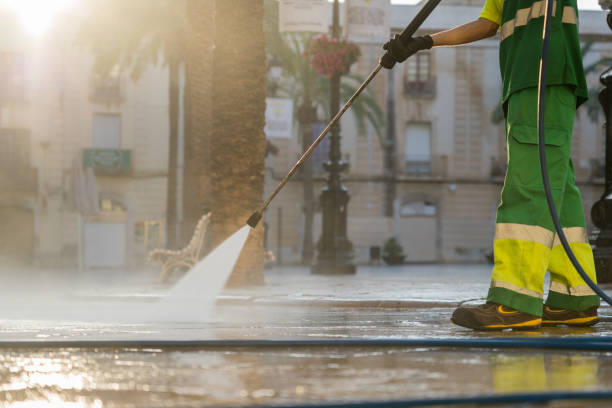 Best Pool Deck Cleaning  in Knoxvle, IL
